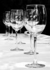 Wine Glasses